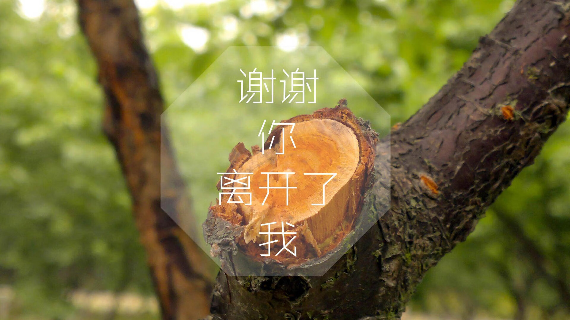 九游（jiuyou.com）游戏-_传统武术盛典：传承与创新的完美演绎_，2021传统武术比赛