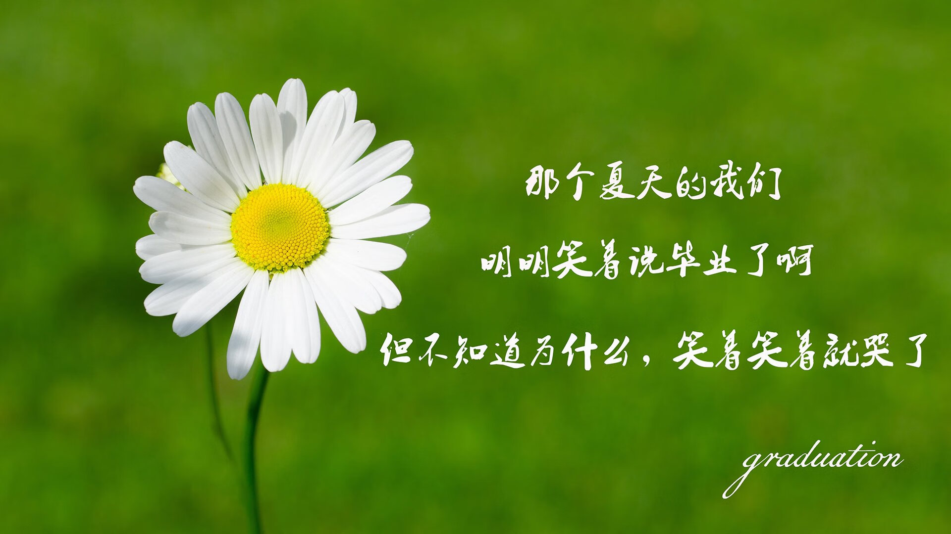 “球员成长：从菜鸟到巨星的励志经验”，球星励志短句