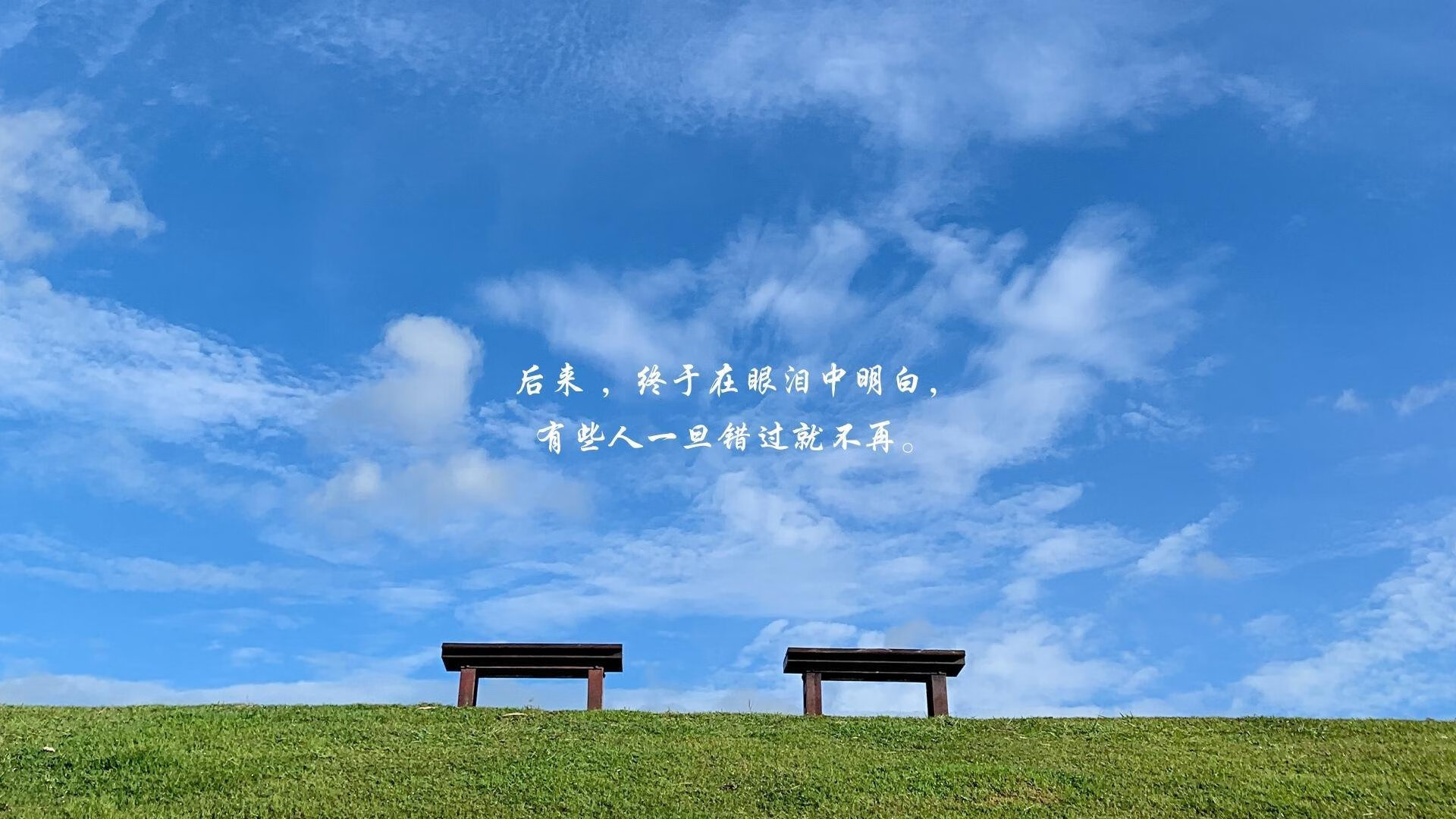 勒沃库森防线表现稳健，勒沃库森球员图片