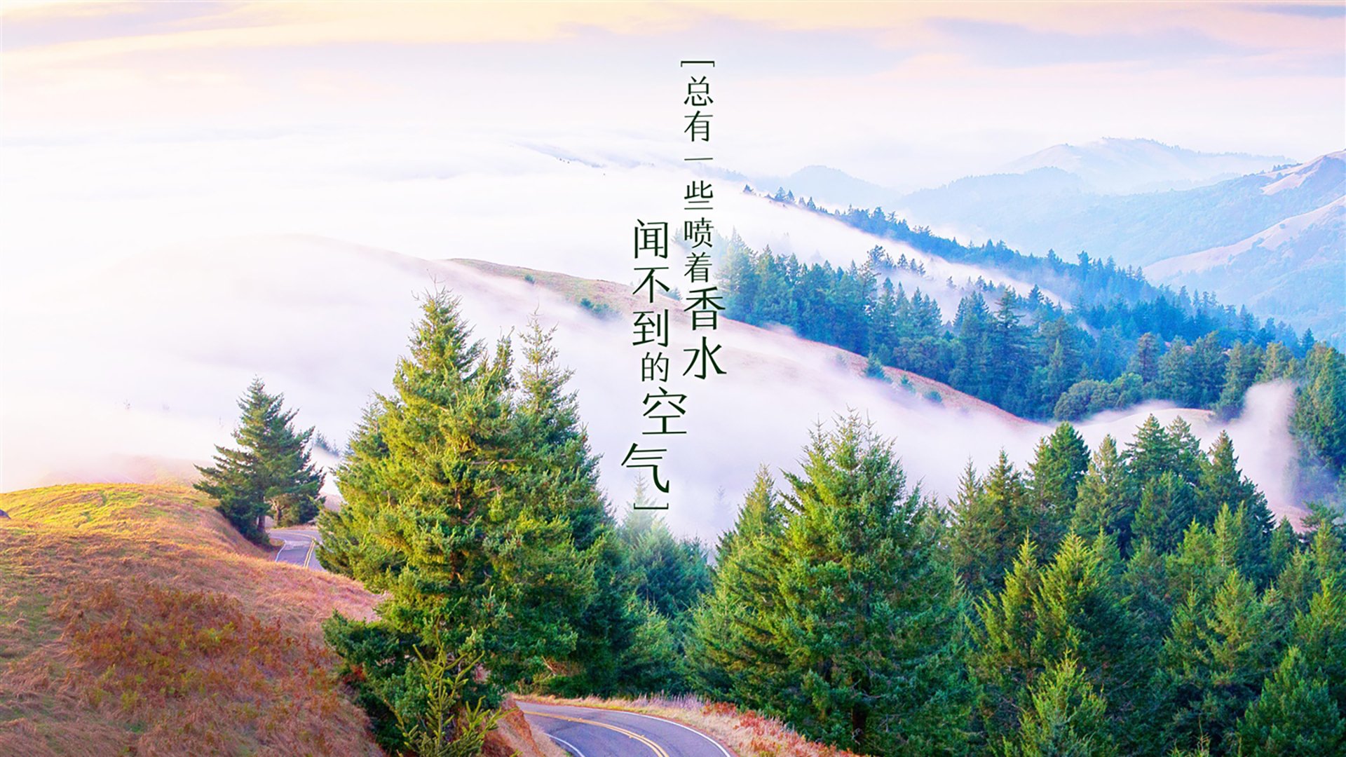 九游官网下载电脑版-宁波队主场顶住压力力压对手，成功获胜，宁波足球联赛
