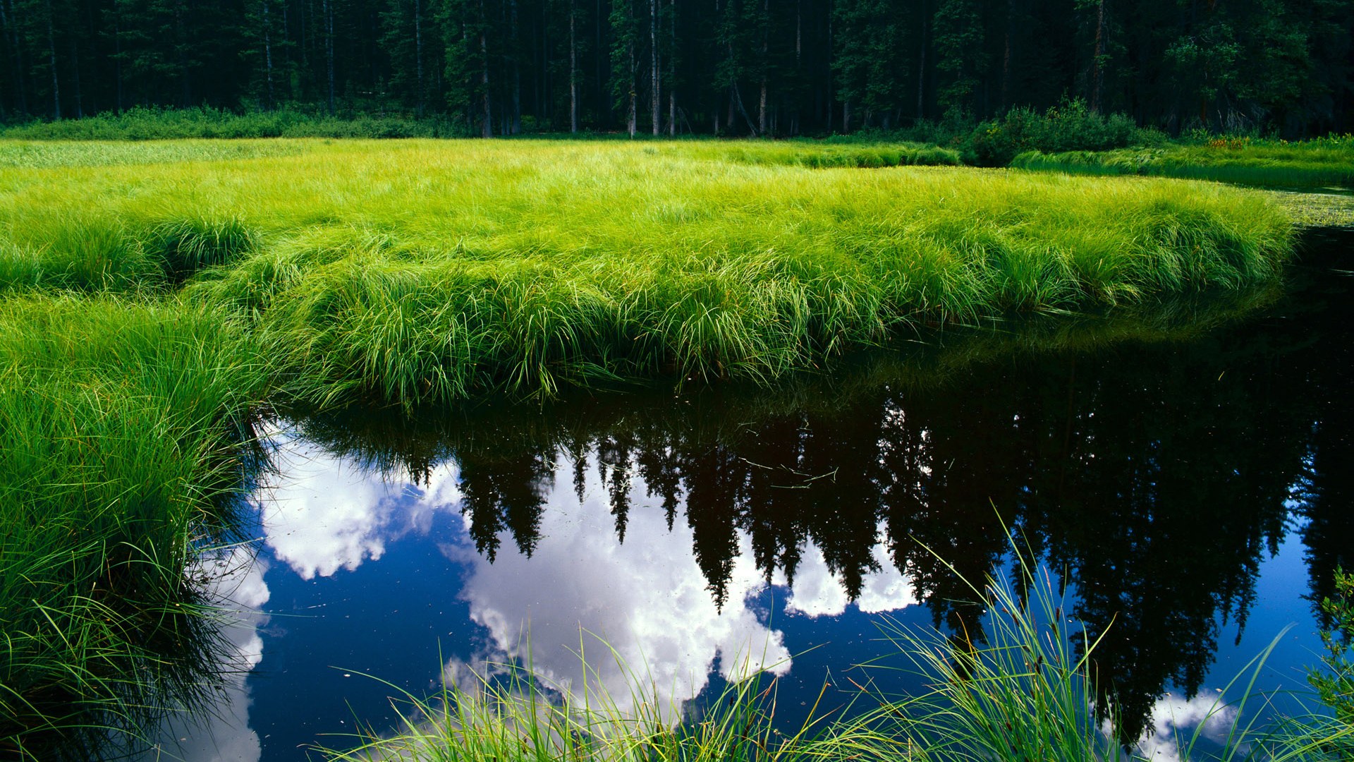 英超比赛中裁判吹罚尺度对战术执行的微观影响,英超裁判口哨