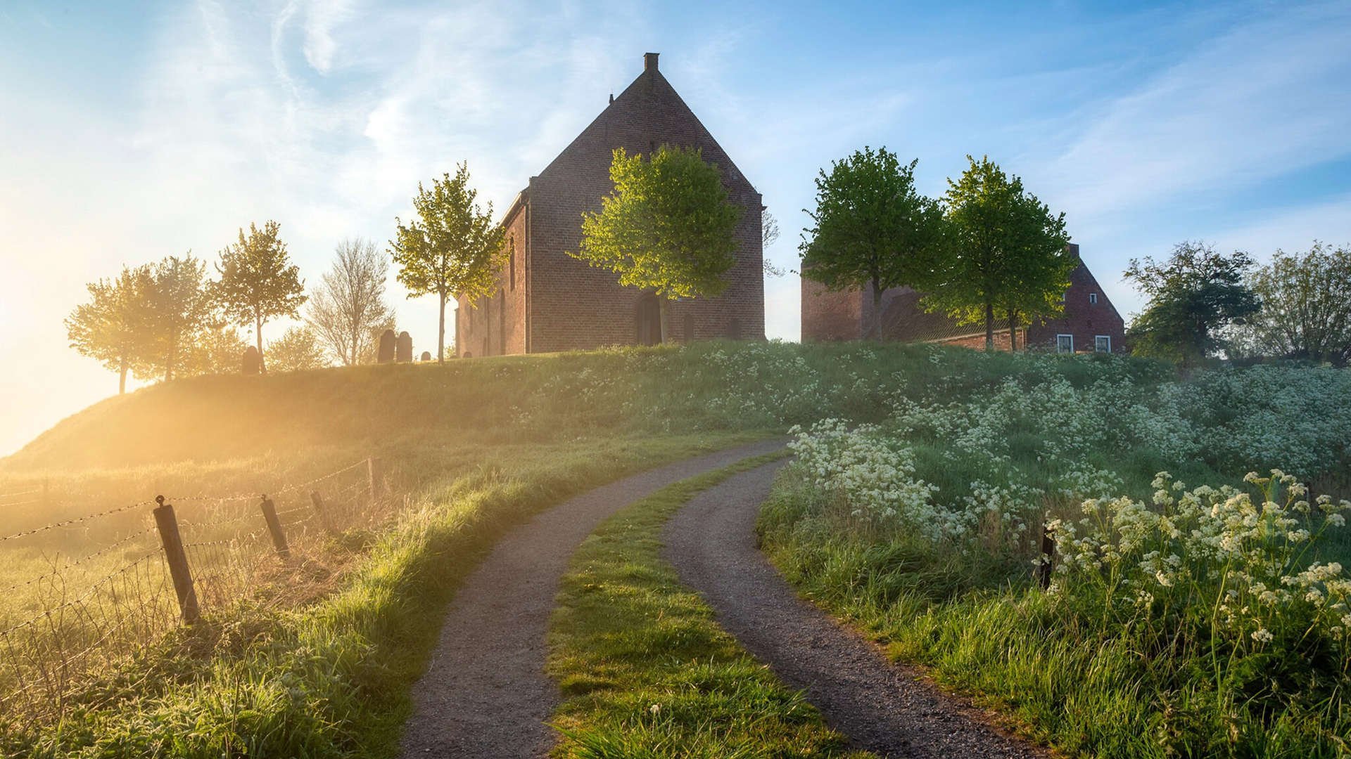 高校竞技队训练数据管理平台建设方案，竞技体育训练管理中心