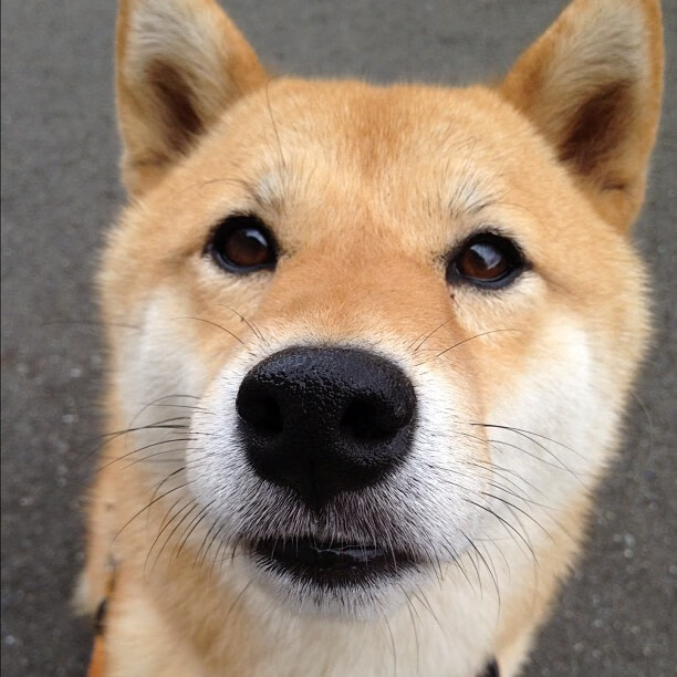 九游（jiuyou.com）游戏-国家队训练周期压缩影响技战术沉淀，国家队的训练时间