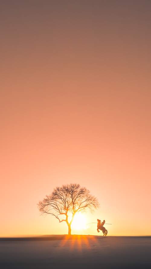 九游网-弗赖堡青训小将表现惊艳全场，弗赖堡主帅