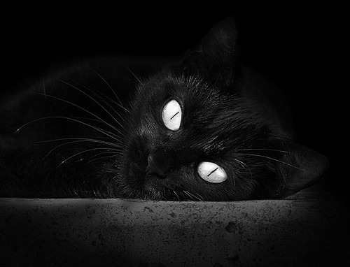 奥斯马尔·奥尔韦拉决赛中段表现抢眼,奥马尔现状