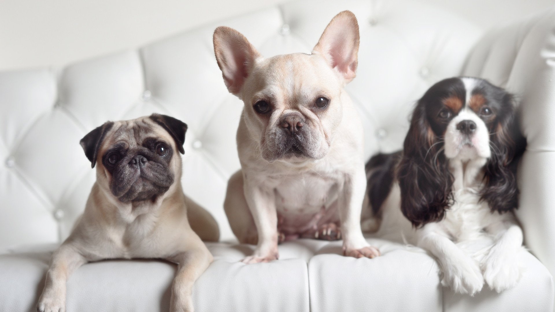 九游娱乐(jiuyou)官网-恩多耶-布鲁阿尔精准转身成制胜关键，恩布鲁庞