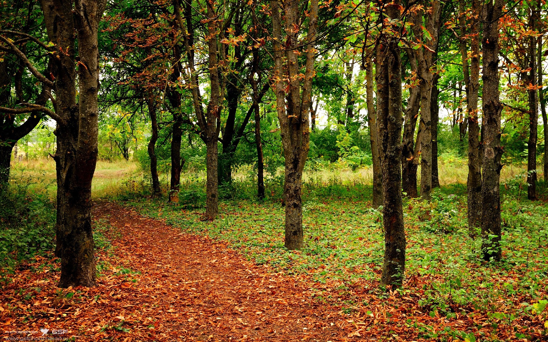 九游APP官网-朱婷体能测试表现全队第一，朱婷体测数据
