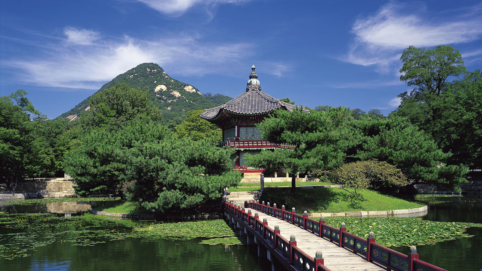 朱婷体能测试表现全队第一，朱婷体测数据