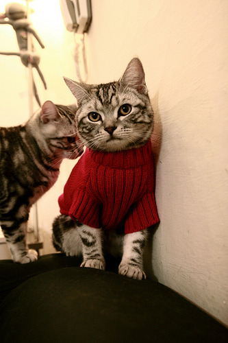 九游jiuyou-霍特·巴雷特：凭借精准的踢球和远射威胁，成为全黑队的杀手锏